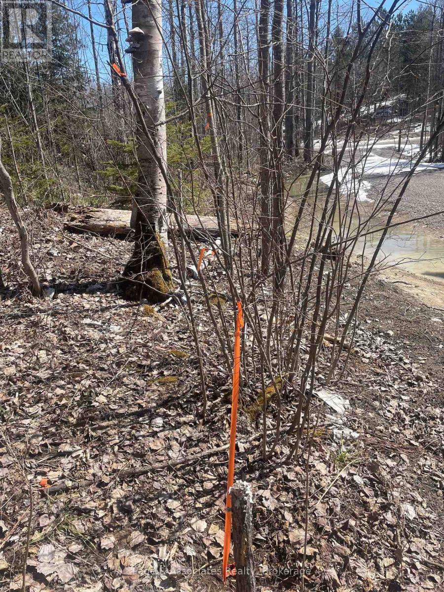 195 Duck Creek Road, West Nipissing (Lavigne), Ontario  P0H 1R0 - Photo 11 - X12100608