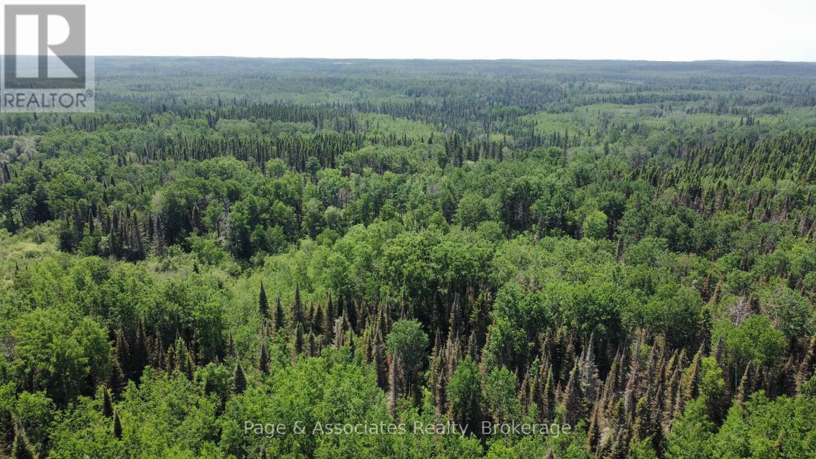 Pcl 12570 Brannys Road, Kirkland Lake (Kl Outside), Ontario  P0K 1V0 - Photo 6 - T12253008