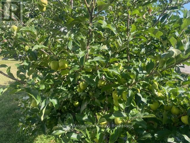 28 William Street, West Nipissing (Sturgeon Falls), Ontario  P2B 2A3 - Photo 8 - X12367895