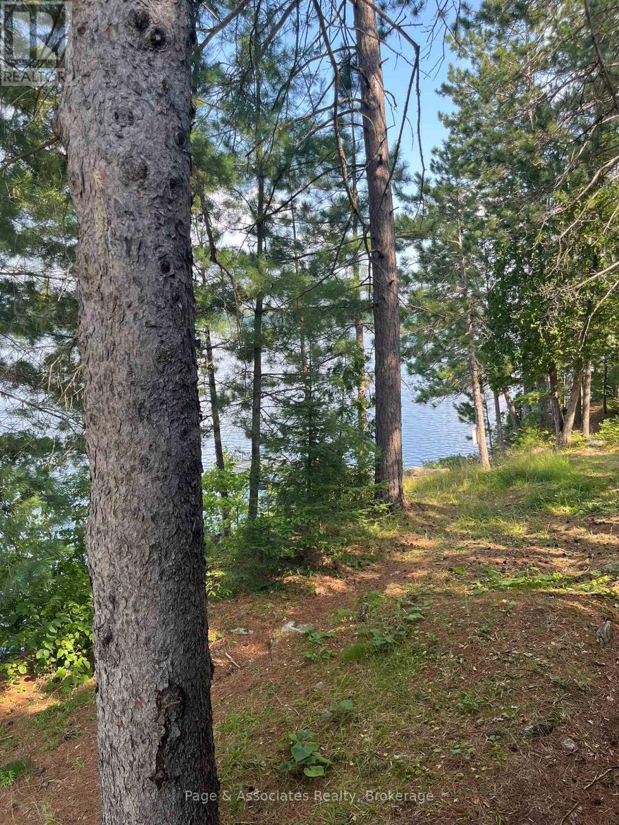 21 Pine Ridge Road W, West Nipissing (Crystal Falls), Ontario  P0H 1L0 - Photo 44 - X12367939