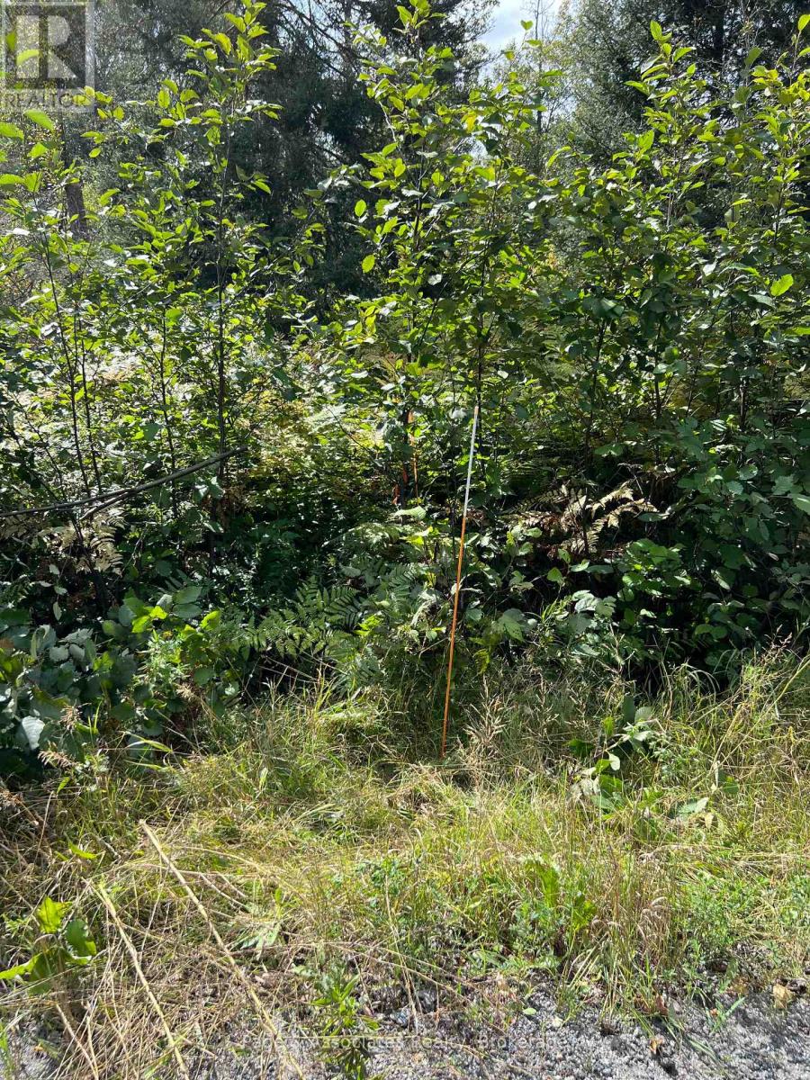 Part 2 Highway 539a, West Nipissing (River Valley), Ontario  P0H 2C0 - Photo 3 - X12403457