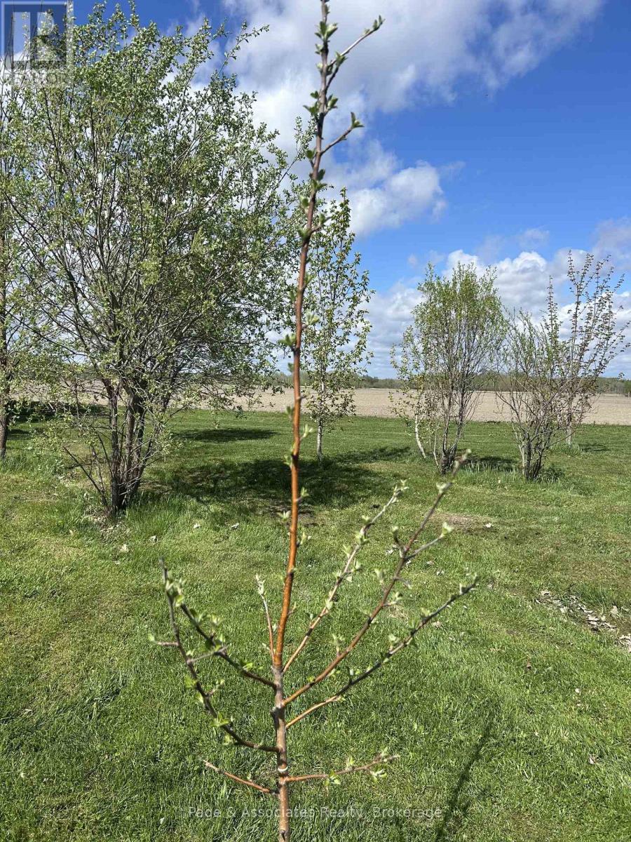 37 Veuve River Road, West Nipissing, Ontario  P0H 2M0 - Photo 19 - X12616502