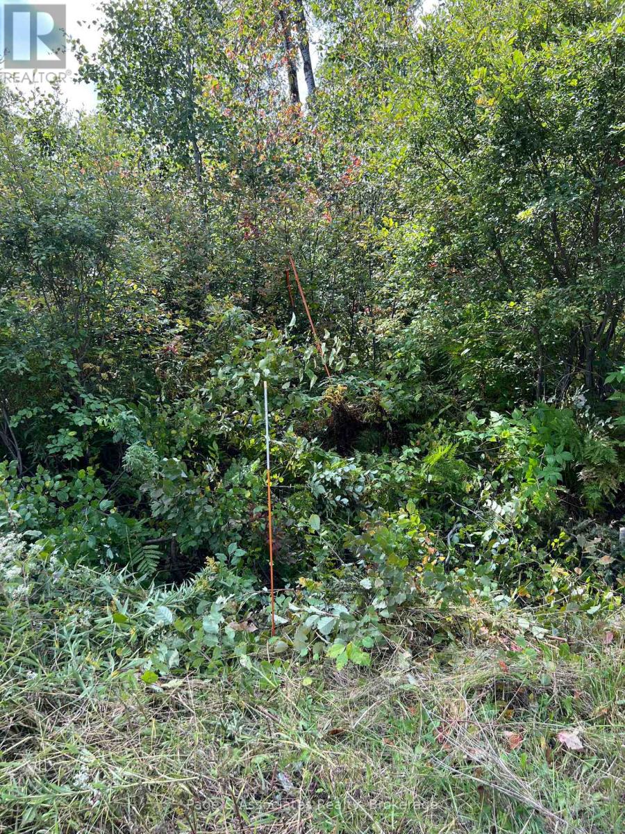 Part 1 Highway 539a, West Nipissing, Ontario  P0H 2C0 - Photo 2 - X12908686