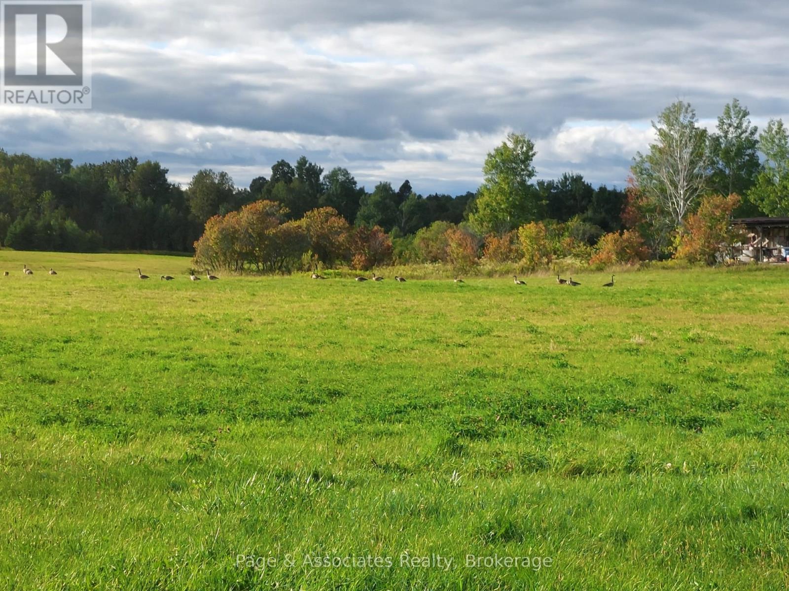 389 Larocque Street, West Nipissing, Ontario  P0H 1M0 - Photo 39 - X12909426