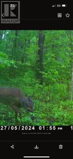 195 Duck Creek Road, West Nipissing, Ontario  P0H 1R0 - Photo 21 - X13109908