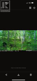 195 Duck Creek Road, West Nipissing, Ontario  P0H 1R0 - Photo 23 - X13109908