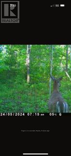 195 Duck Creek Road, West Nipissing, Ontario  P0H 1R0 - Photo 24 - X13109908