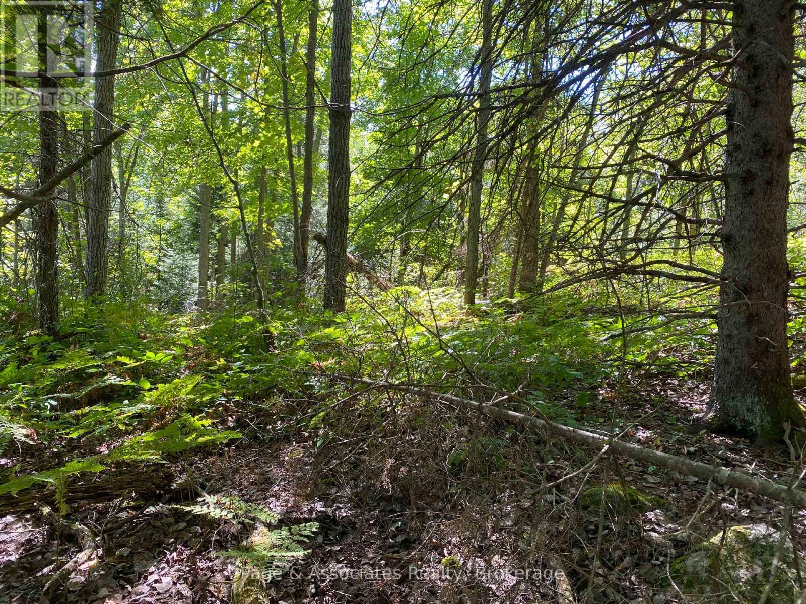 13601 Highway 64, West Nipissing, Ontario  P0H 1M0 - Photo 11 - X13479874