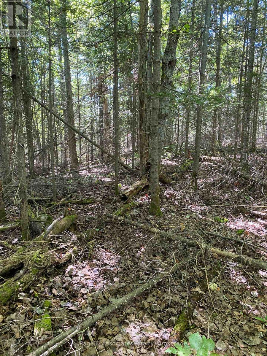 13601 Highway 64, West Nipissing, Ontario  P0H 1M0 - Photo 12 - X13479874