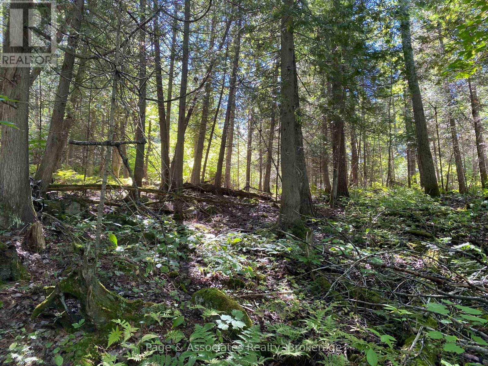 13601 Highway 64, West Nipissing, Ontario  P0H 1M0 - Photo 13 - X13479874