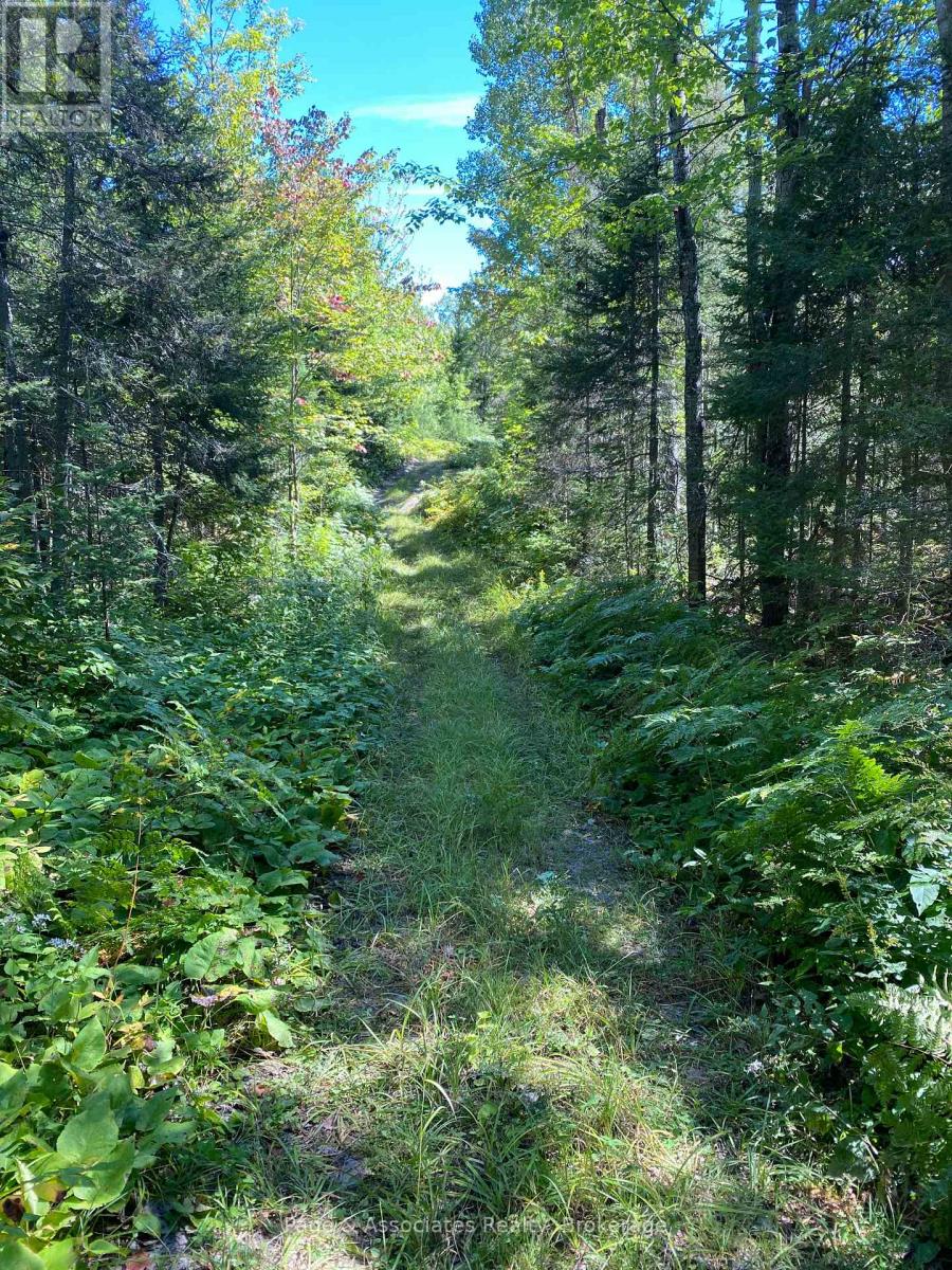 13601 Highway 64, West Nipissing, Ontario  P0H 1M0 - Photo 14 - X13479874