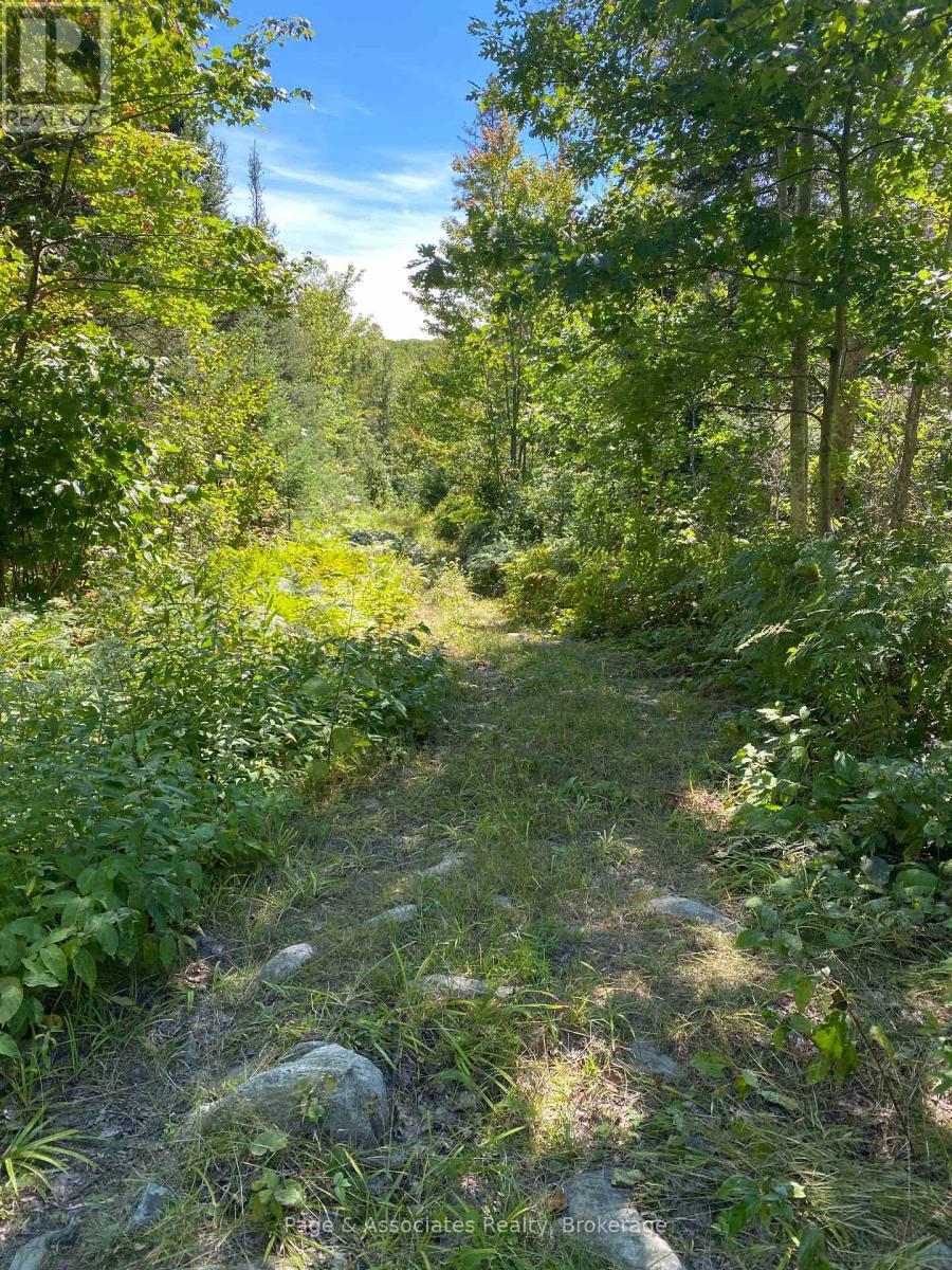 13601 Highway 64, West Nipissing, Ontario  P0H 1M0 - Photo 15 - X13479874