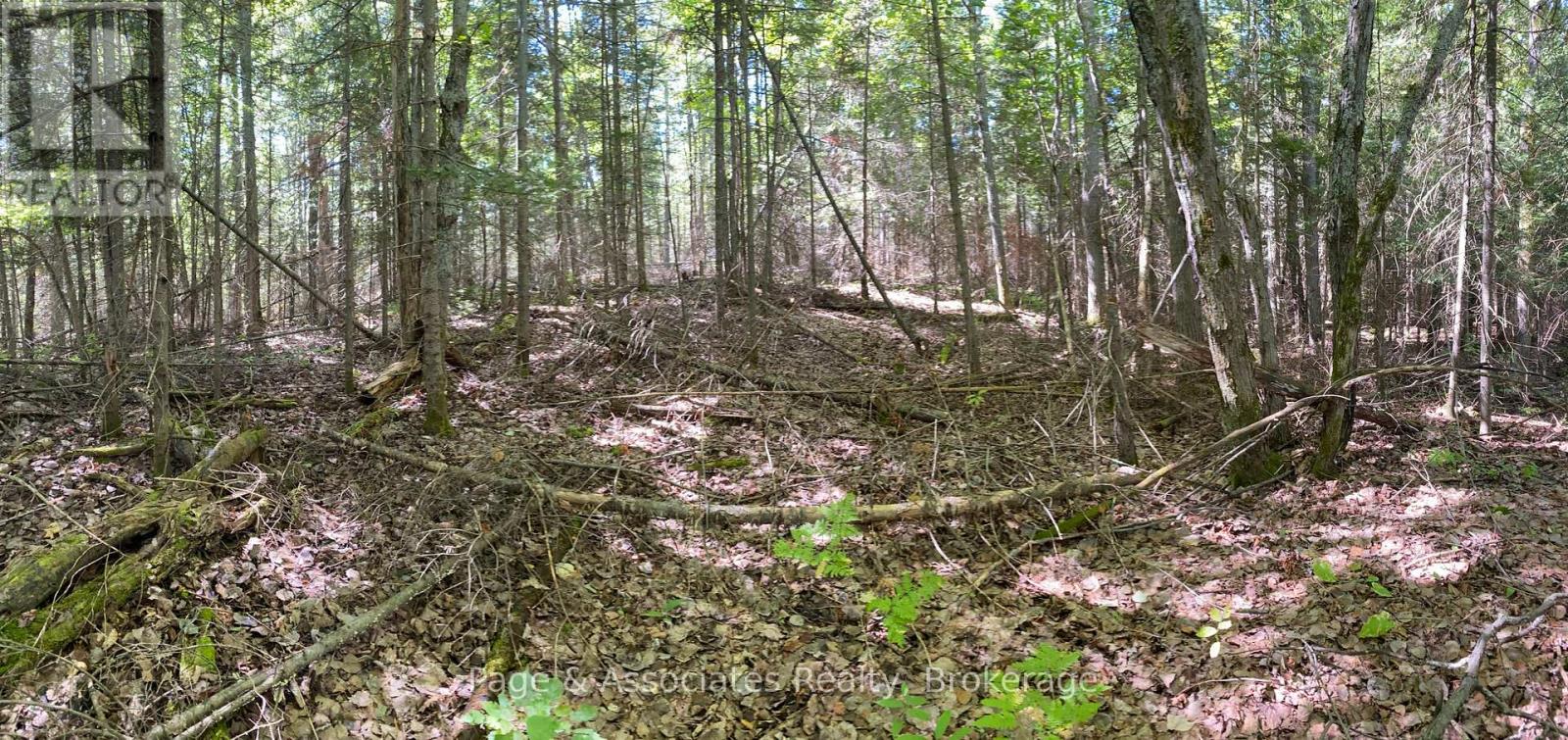 13601 Highway 64, West Nipissing, Ontario  P0H 1M0 - Photo 19 - X13479874
