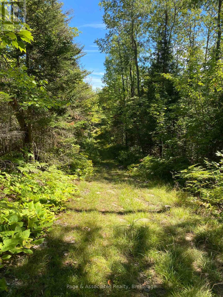 13601 Highway 64, West Nipissing, Ontario  P0H 1M0 - Photo 20 - X13479874