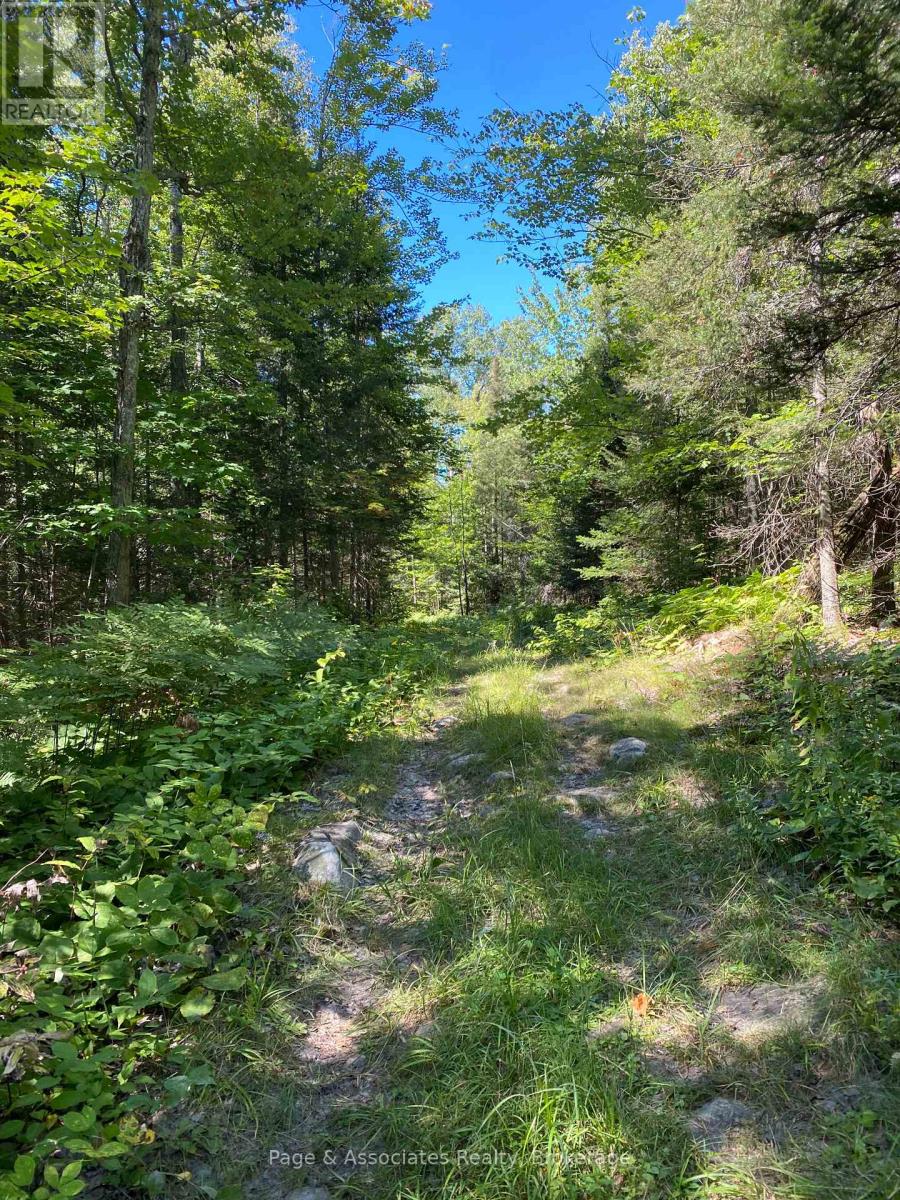 13601 Highway 64, West Nipissing, Ontario  P0H 1M0 - Photo 21 - X13479874