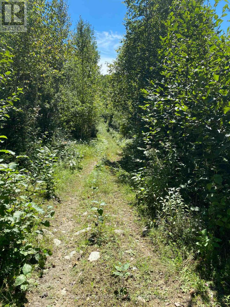 13601 Highway 64, West Nipissing, Ontario  P0H 1M0 - Photo 22 - X13479874