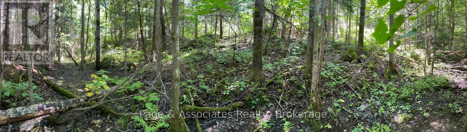 13601 Highway 64, West Nipissing, Ontario  P0H 1M0 - Photo 33 - X13479874