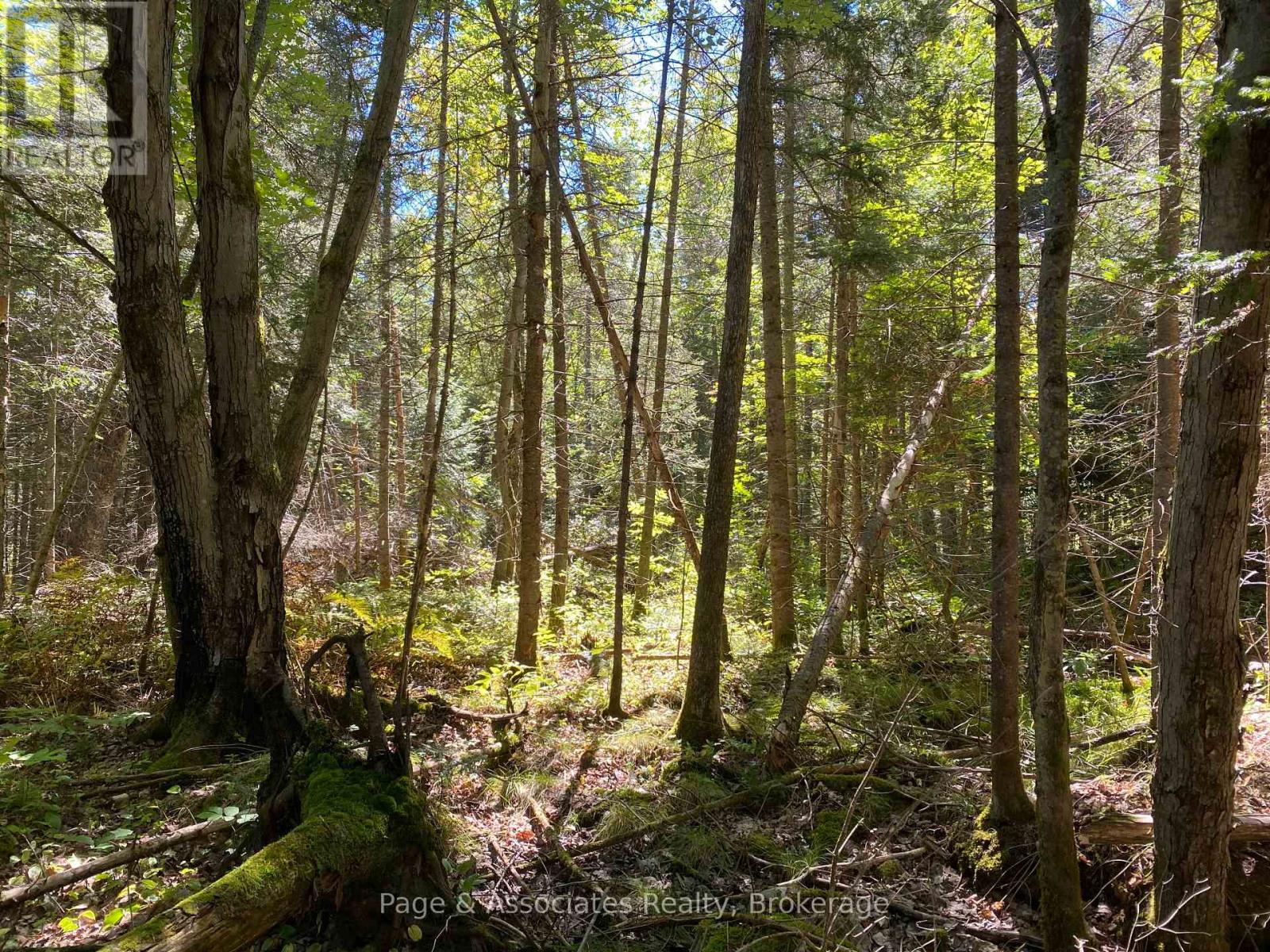 13601 Highway 64, West Nipissing, Ontario  P0H 1M0 - Photo 34 - X13479874