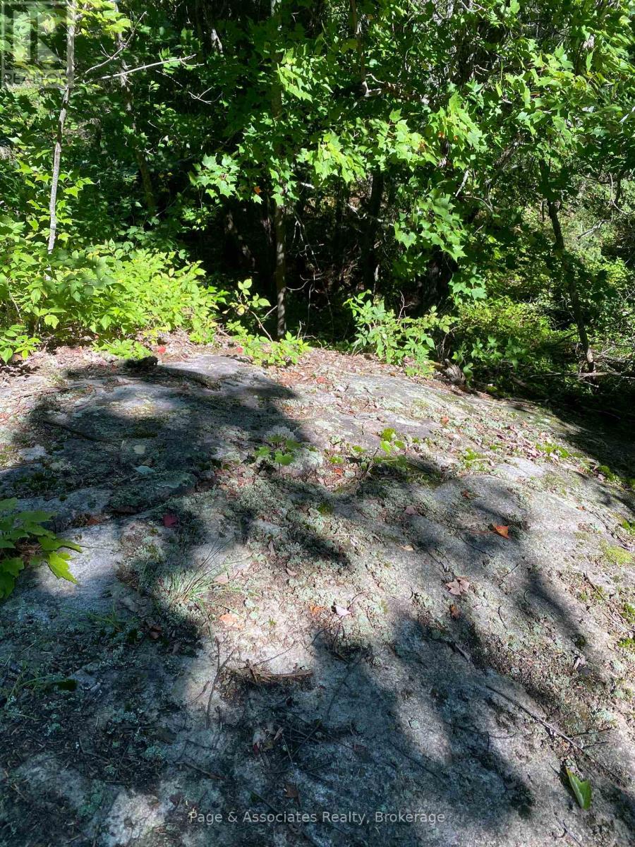 13601 Highway 64, West Nipissing, Ontario  P0H 1M0 - Photo 37 - X13479874
