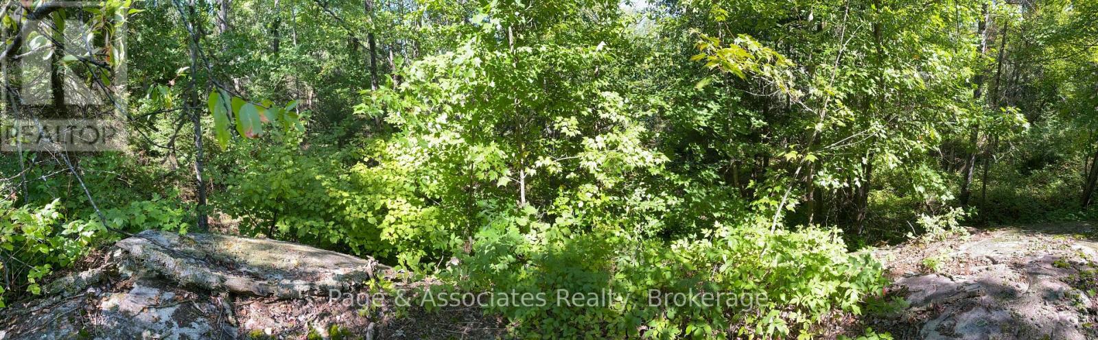 13601 Highway 64, West Nipissing, Ontario  P0H 1M0 - Photo 39 - X13479874