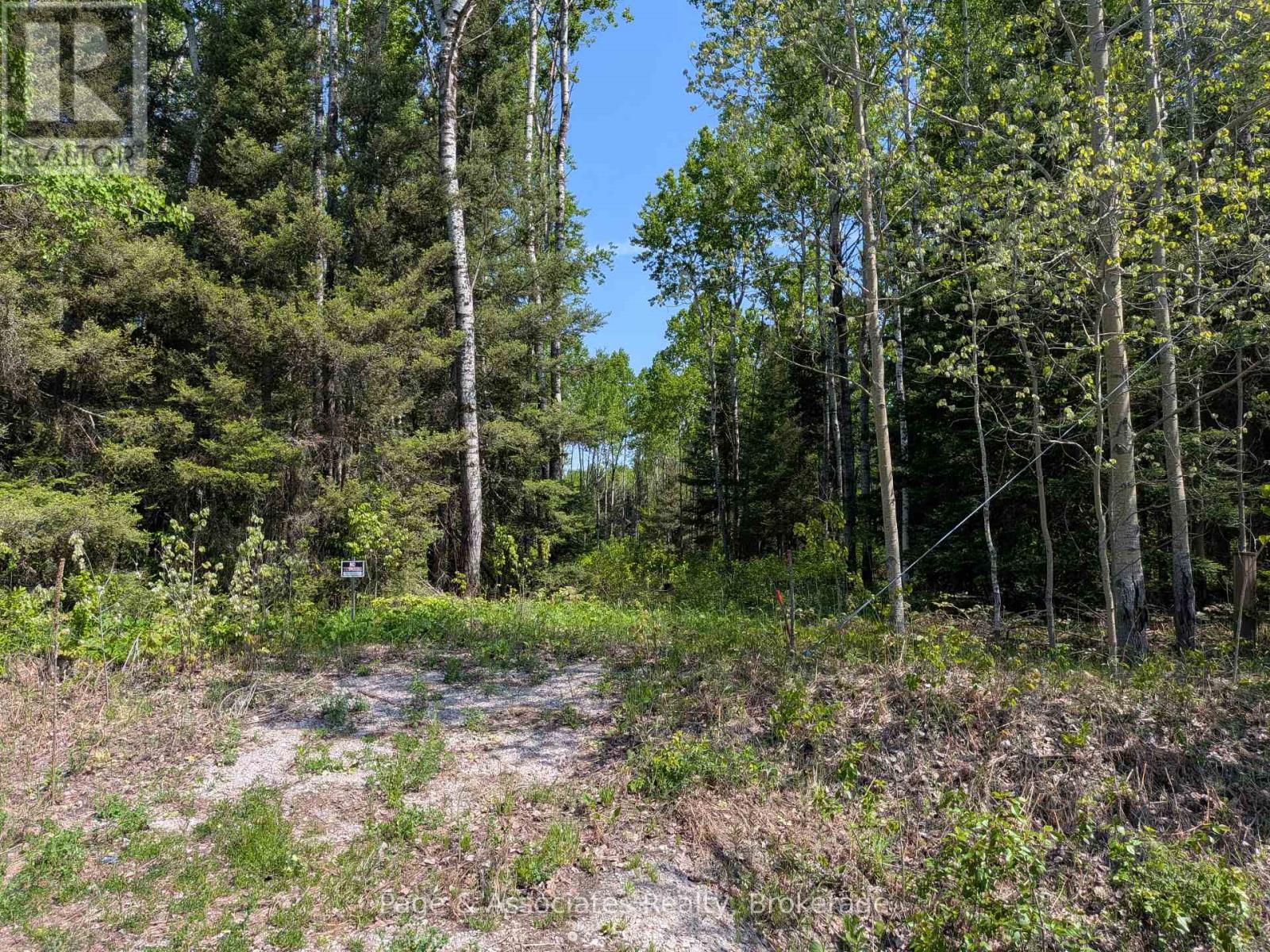 Lot 5 Highway 539, West Nipissing, Ontario  P0H 1M0 - Photo 4 - X13504192